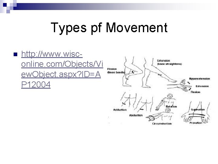 Types pf Movement n http: //www. wisconline. com/Objects/Vi ew. Object. aspx? ID=A P 12004