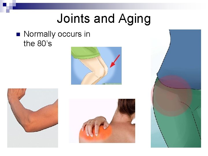 Joints and Aging n Normally occurs in the 80’s 