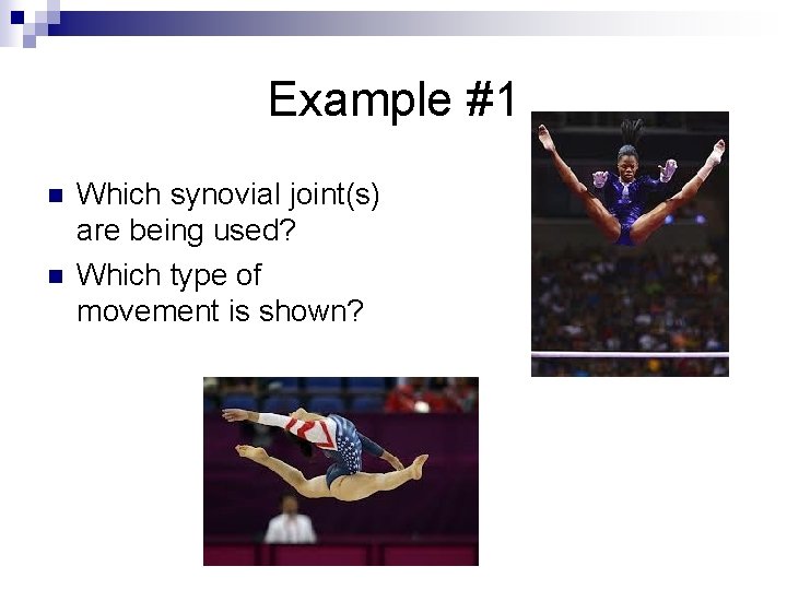 Example #1 n n Which synovial joint(s) are being used? Which type of movement