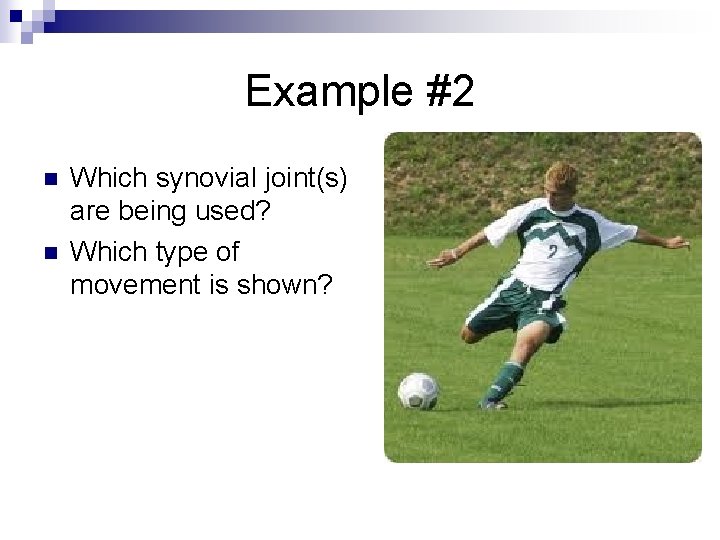 Example #2 n n Which synovial joint(s) are being used? Which type of movement