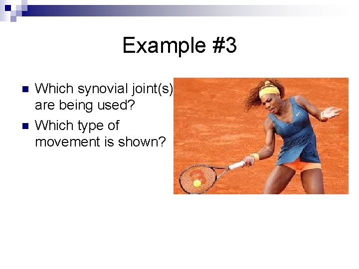 Example #3 n n Which synovial joint(s) are being used? Which type of movement