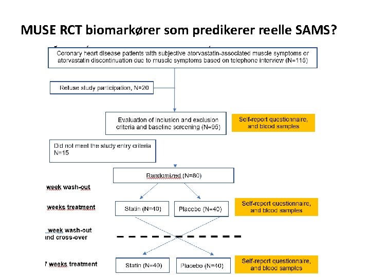 MUSE RCT biomarkører som predikerer reelle SAMS? 