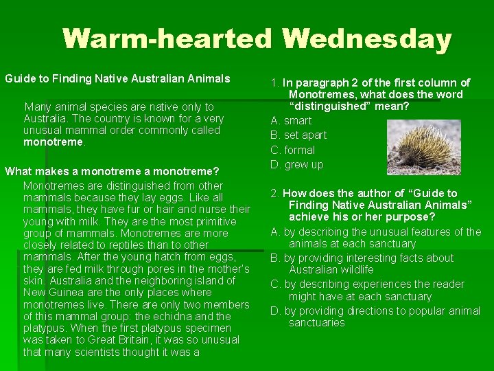 Warm-hearted Wednesday Guide to Finding Native Australian Animals Many animal species are native only
