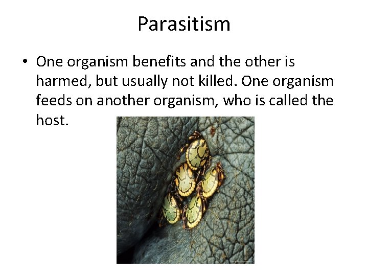 Parasitism • One organism benefits and the other is harmed, but usually not killed.