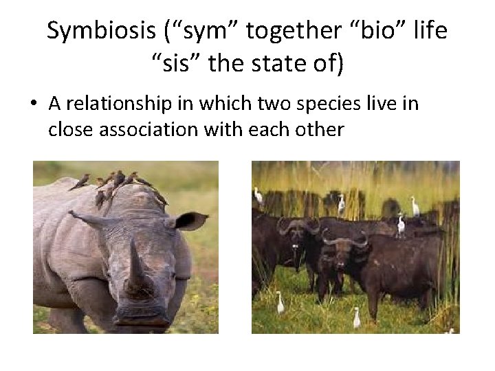 Symbiosis (“sym” together “bio” life “sis” the state of) • A relationship in which