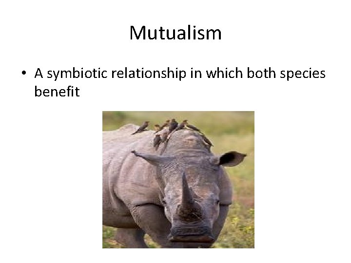 Mutualism • A symbiotic relationship in which both species benefit 