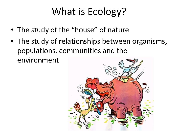 What is Ecology? • The study of the “house” of nature • The study