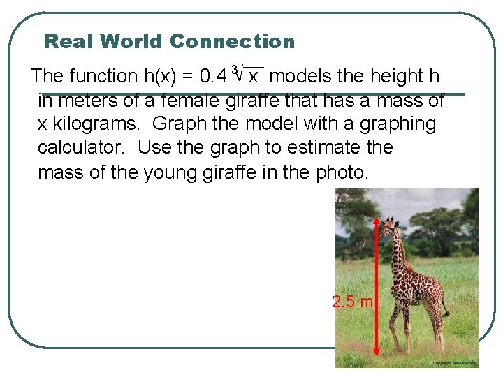Real World Connection The function h(x) = 0. 4 3√ x models the height