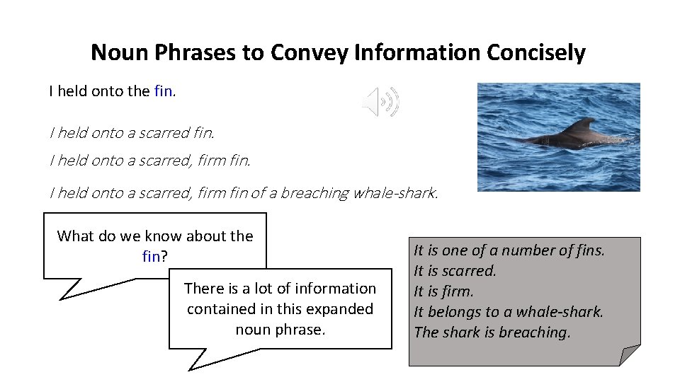 Noun Phrases to Convey Information Concisely I held onto the fin. I held onto