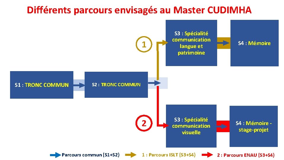 Différents parcours envisagés au Master CUDIMHA S 1 : TRONC COMMUN 1 S 3