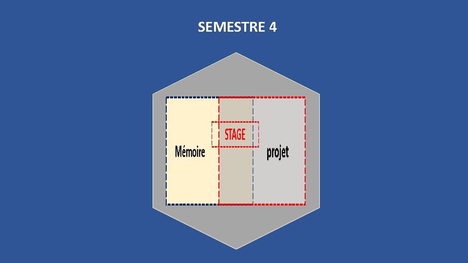 SEMESTRE 4 