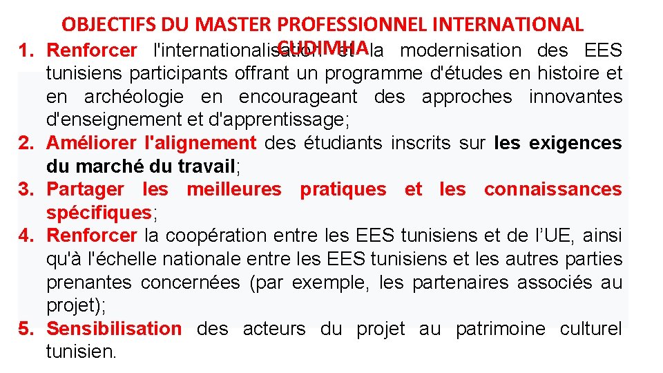 OBJECTIFS DU MASTER PROFESSIONNEL INTERNATIONAL CUDIMHA 1. Renforcer l'internationalisation et la modernisation des EES