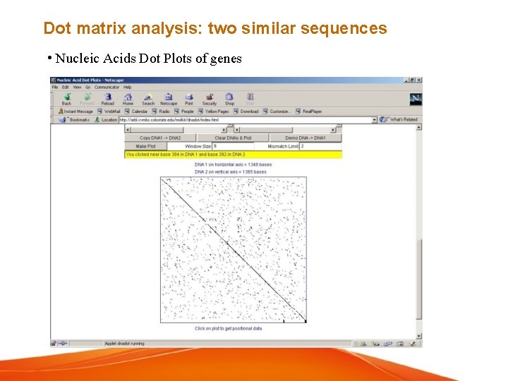 Dot matrix analysis: two similar sequences • Nucleic Acids Dot Plots of genes 