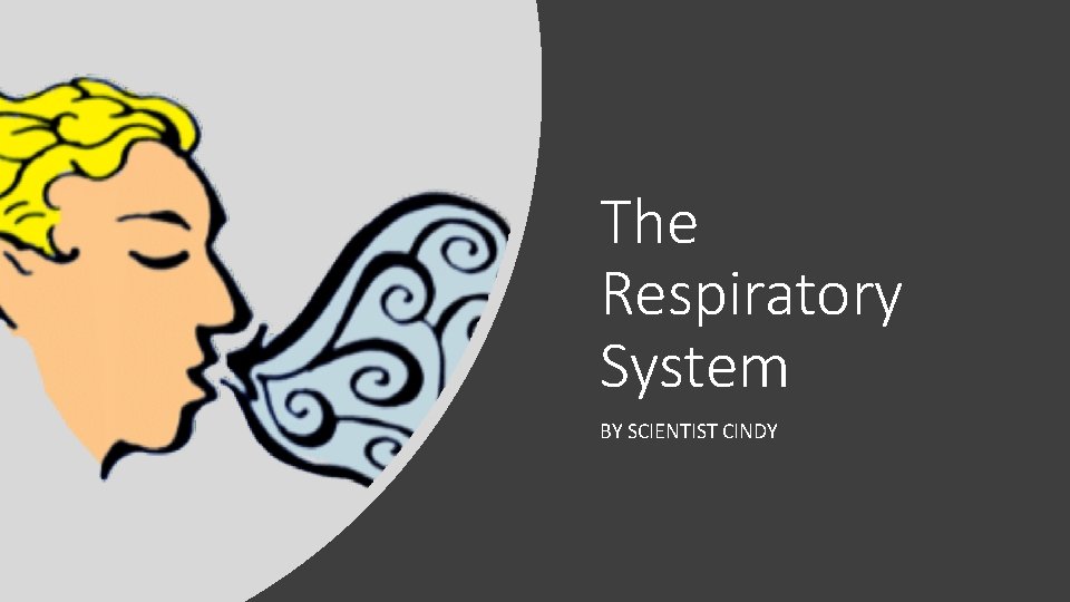 The Respiratory System BY SCIENTIST CINDY 