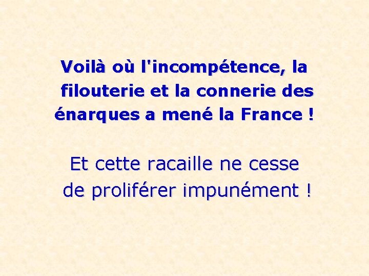 Voilà où l'incompétence, la filouterie et la connerie des énarques a mené la France