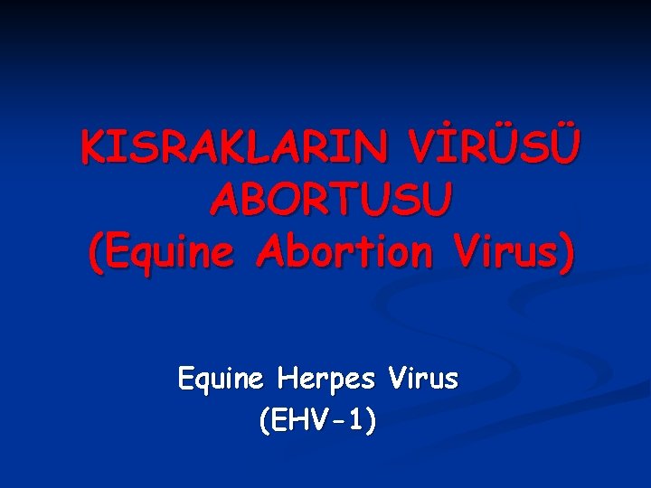 KISRAKLARIN VİRÜSÜ ABORTUSU (Equine Abortion Virus) Equine Herpes Virus (EHV-1) 