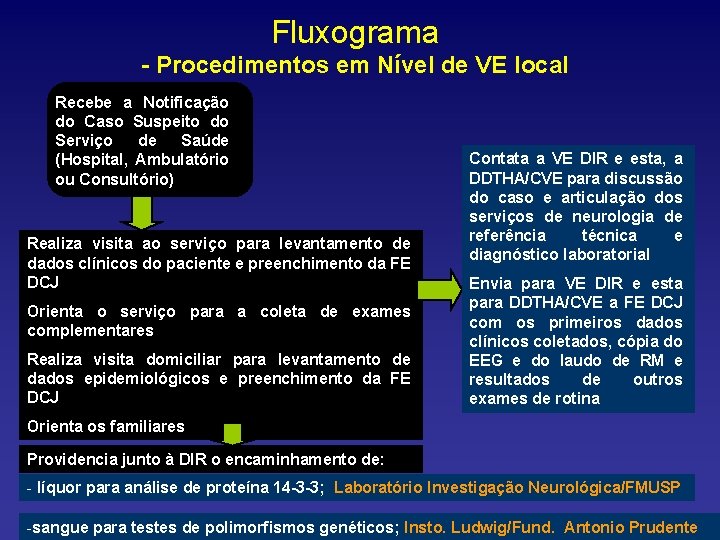 Fluxograma - Procedimentos em Nível de VE local Recebe a Notificação do Caso Suspeito
