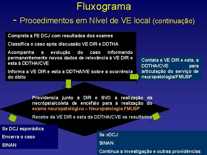 Fluxograma - Procedimentos em Nível de VE local (continuação) Completa a FE DCJ com