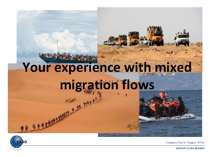 Your experience with mixed migration flows Your experience with mixed migration flows