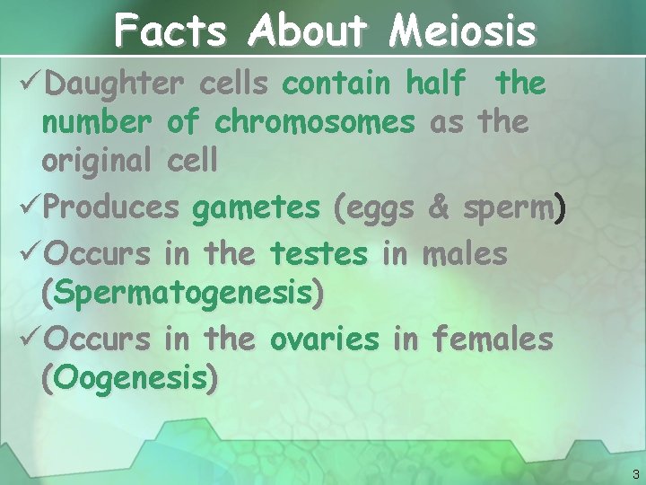 Facts About Meiosis üDaughter cells contain half the number of chromosomes as the original