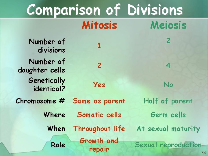 Comparison of Divisions Mitosis Number of divisions Number of daughter cells Genetically identical? 1