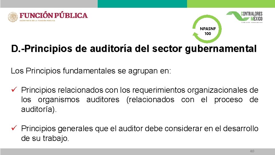 NPASNF 100 D. -Principios de auditoría del sector gubernamental Los Principios fundamentales se agrupan