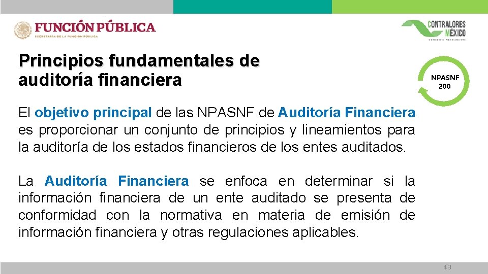 Principios fundamentales de auditoría financiera NPASNF 200 El objetivo principal de las NPASNF de