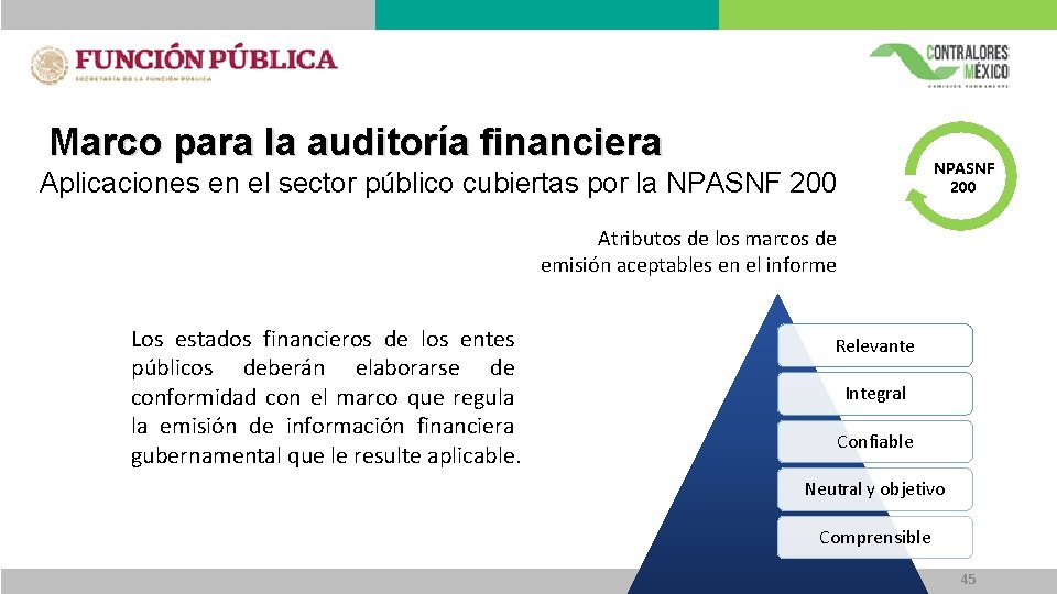 Marco para la auditoría financiera NPASNF 200 Aplicaciones en el sector público cubiertas por