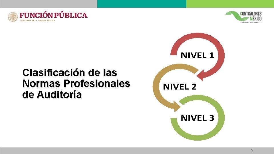 Clasificación de las Normas Profesionales de Auditoría 5 