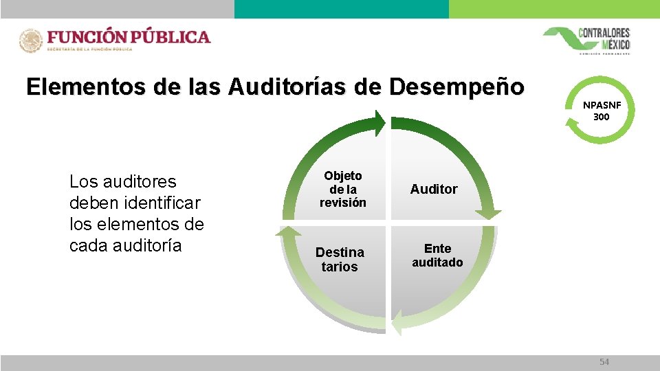 Elementos de las Auditorías de Desempeño Los auditores deben identificar los elementos de cada