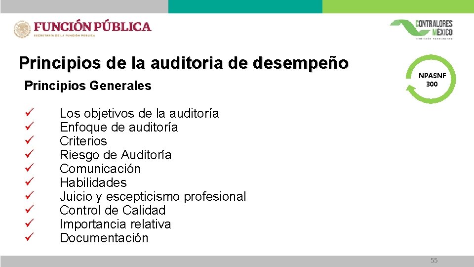 Principios de la auditoria de desempeño Principios Generales ü ü ü ü ü NPASNF