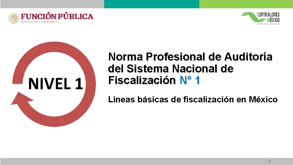 NIVEL 1 Norma Profesional de Auditoría del Sistema Nacional de Fiscalización N° 1 Líneas