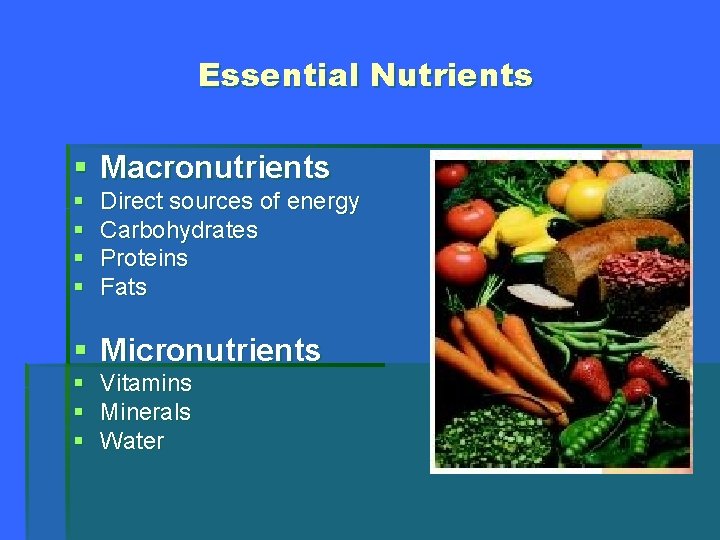 Essential Nutrients § Macronutrients § § Direct sources of energy Carbohydrates Proteins Fats §