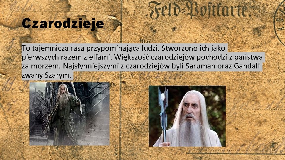 Czarodzieje To tajemnicza rasa przypominająca ludzi. Stworzono ich jako pierwszych razem z elfami. Większość