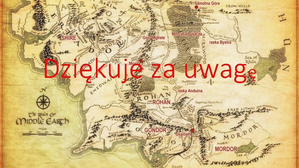 Dziękuje za uwagę 