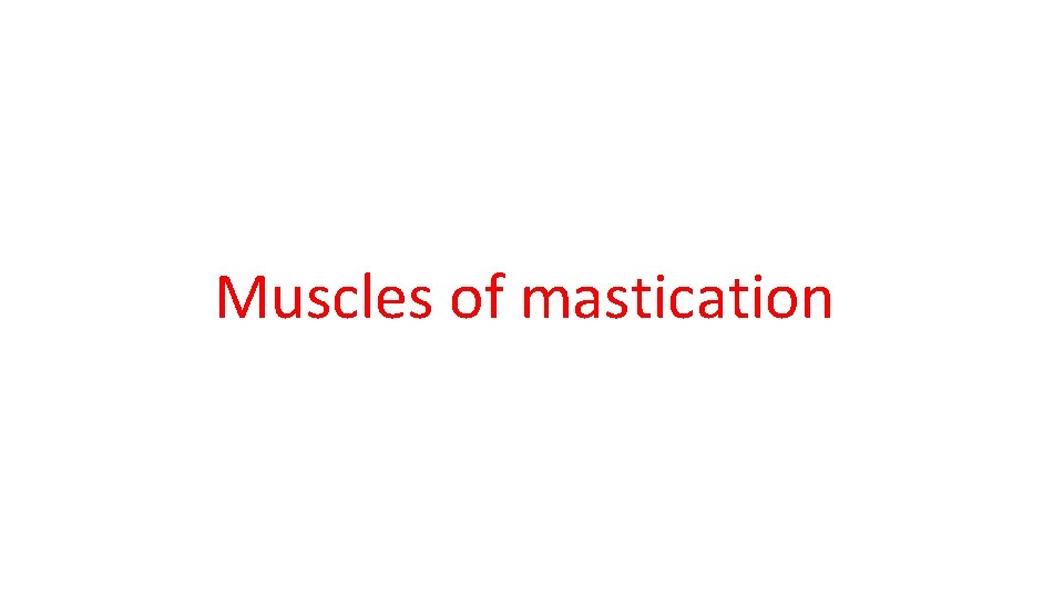 Muscles of mastication 
