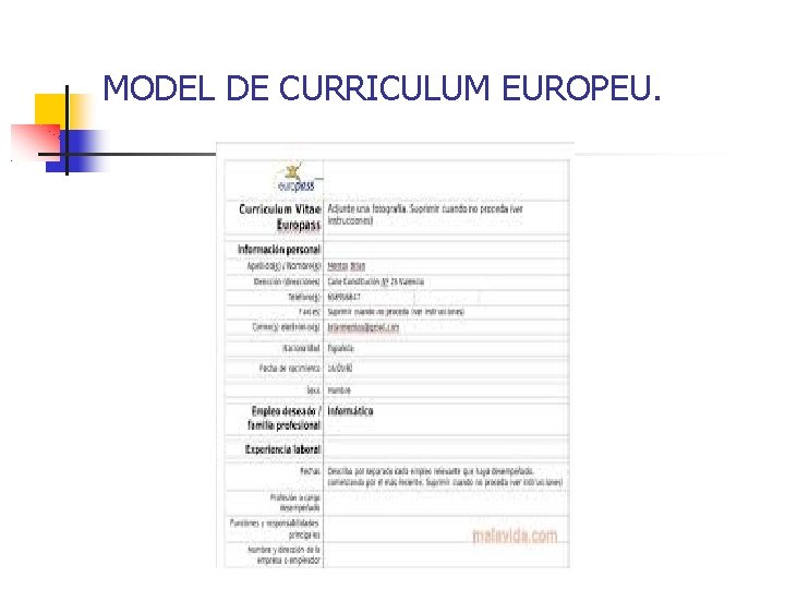 MODEL DE CURRICULUM EUROPEU. 