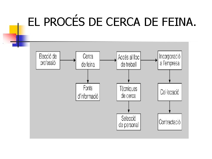 EL PROCÉS DE CERCA DE FEINA. 