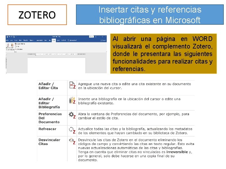 ZOTERO Insertar citas y referencias bibliográficas en Microsoft Al abrir una página en WORD