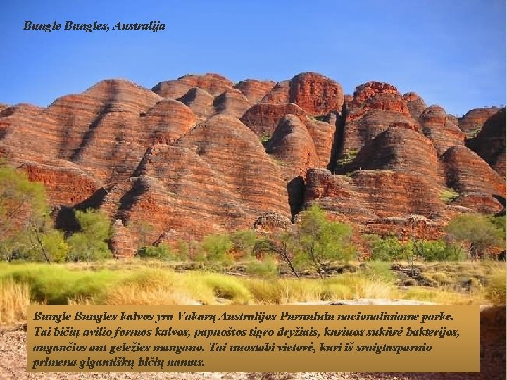 Bungles, Australija Bungles kalvos yra Vakarų Australijos Purnululu nacionaliniame parke. Tai bičių avilio formos