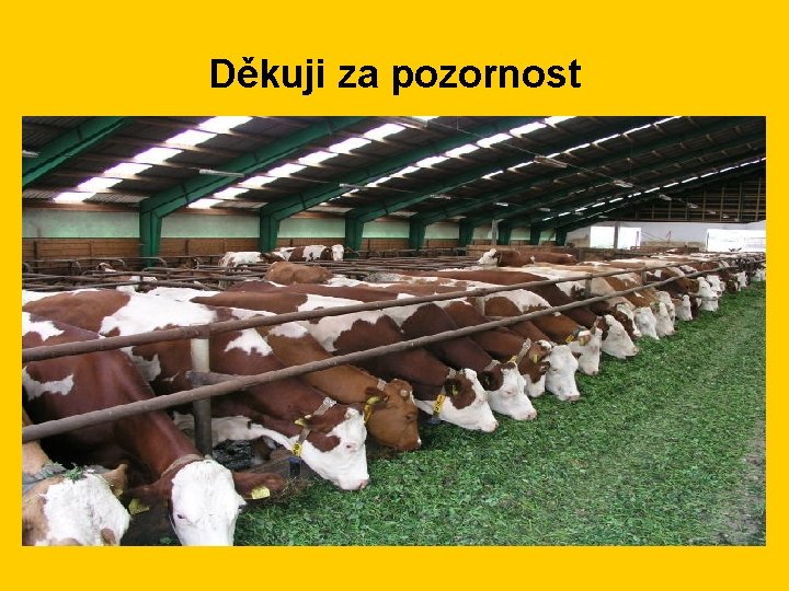 Děkuji za pozornost 