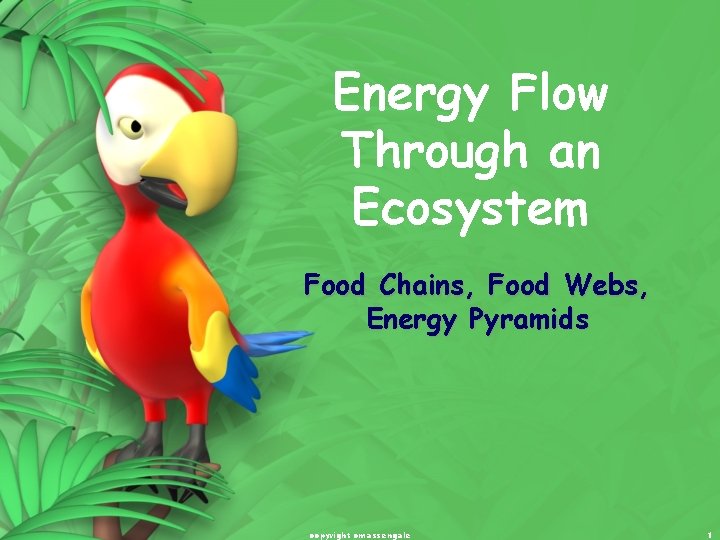 Energy Flow Through an Ecosystem Food Chains, Food Webs, Energy Pyramids copyright cmassengale 1