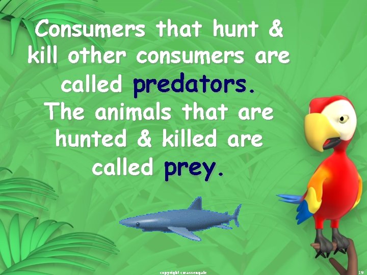 Consumers that hunt & kill other consumers are called predators. The animals that are