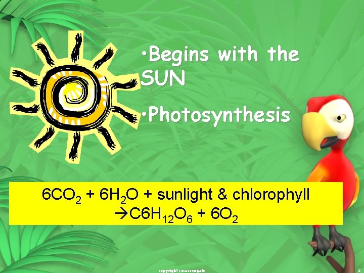  • Begins with the SUN • Photosynthesis 6 CO 2 + 6 H