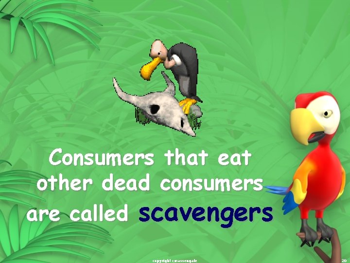 Consumers that eat other dead consumers are called scavengers copyright cmassengale 20 