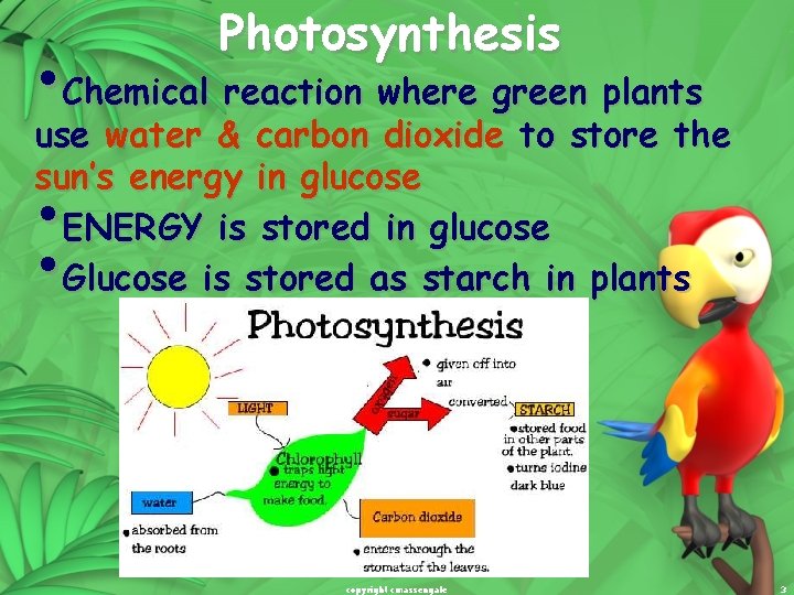 Photosynthesis • Chemical reaction where green plants use water & carbon dioxide to store