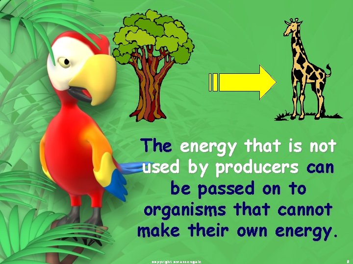 The energy that is not used by producers can be passed on to organisms