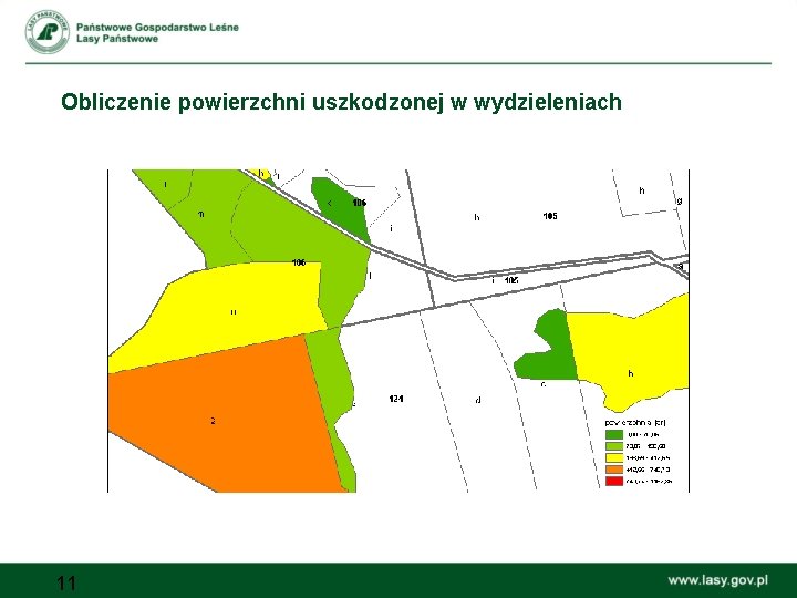 Obliczenie powierzchni uszkodzonej w wydzieleniach 11 