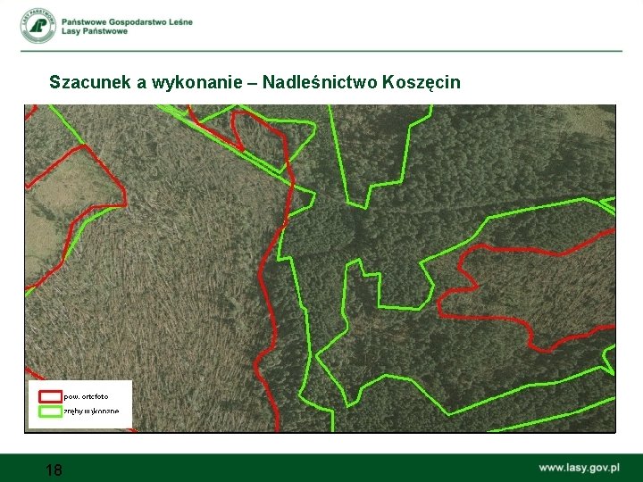 Szacunek a wykonanie – Nadleśnictwo Koszęcin 18 