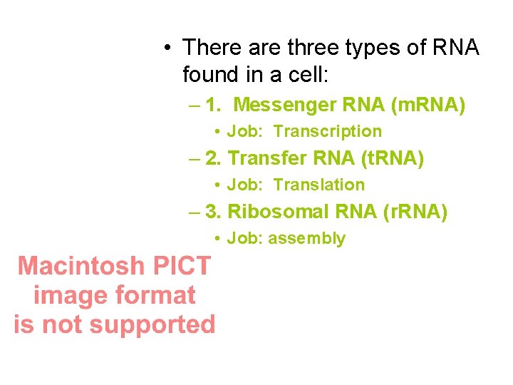  • There are three types of RNA found in a cell: – 1.